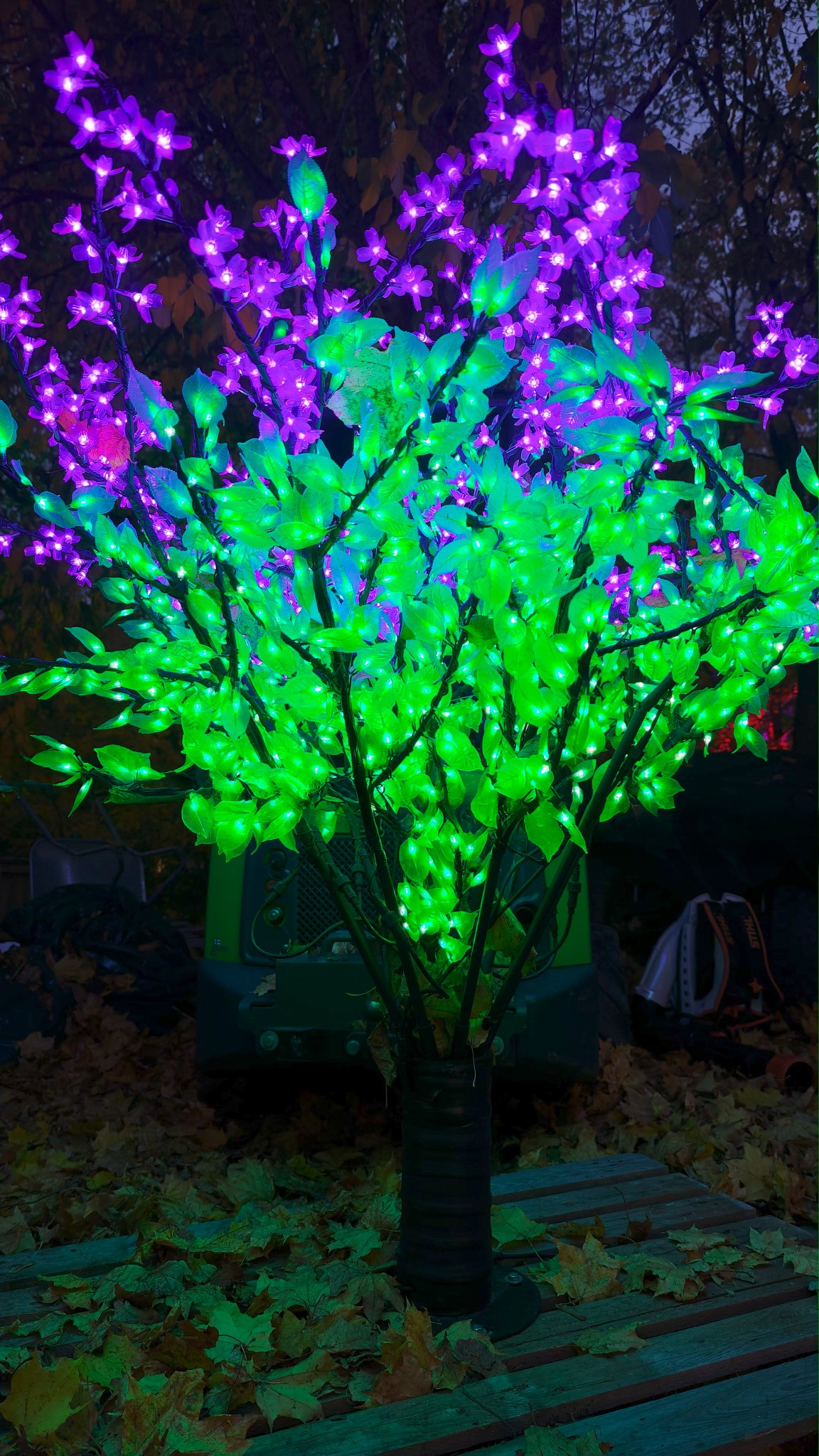 IMG 20251014 182904 copy